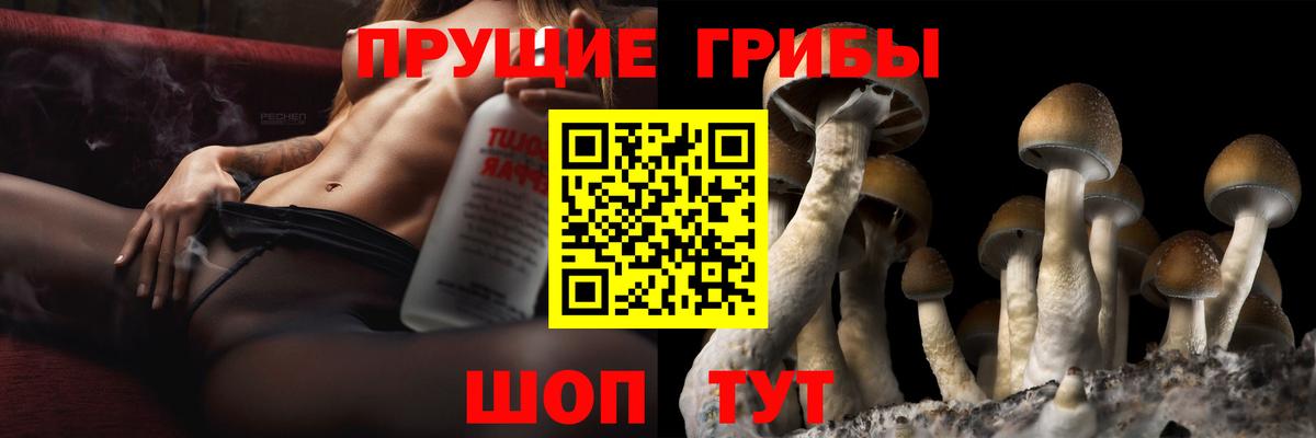 Галлюциногенные грибы MAGIC MUSHROOMS Нефтекумск